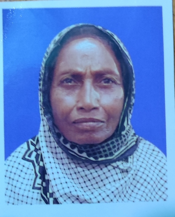 Nur jahan begum